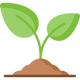 Regenerative Farming